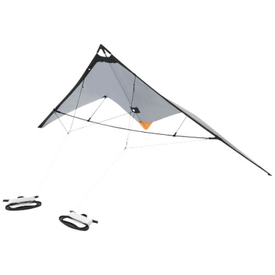 Picture of NILE DELTA KITE
