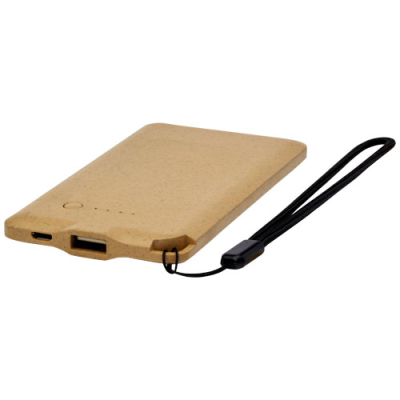 Picture of ECO 4000 MAH POWER BANK in Natural.