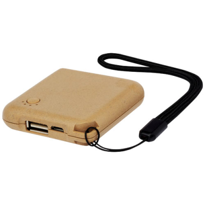 Picture of ECO 2000 MAH POWER BANK in Natural.