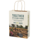 Picture of AGRICULTURAL WASTE 150 G & M2 PAPER BAG with Twisted Handles - Medium 