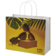 Picture of KRAFT 120 G & M2 PAPER BAG with Twisted Handles - Large