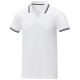 Picture of AMARAGO SHORT SLEEVE MENS TIPPING POLO