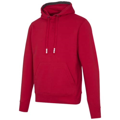 Picture of ARORA 300 G & M2 UNISEX HOODED HOODY