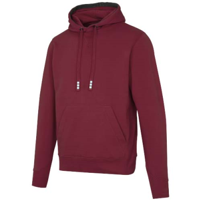 Picture of ARORA 300 G & M2 UNISEX HOODED HOODY