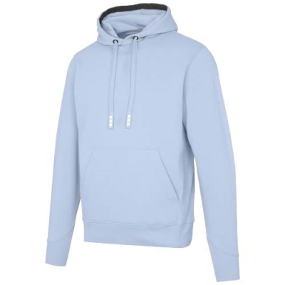 Picture of ARORA 300 G & M2 UNISEX HOODED HOODY