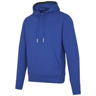 Picture of ARORA 300 G & M2 UNISEX HOODED HOODY