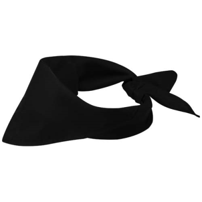 Picture of HERACLES BANDANA.