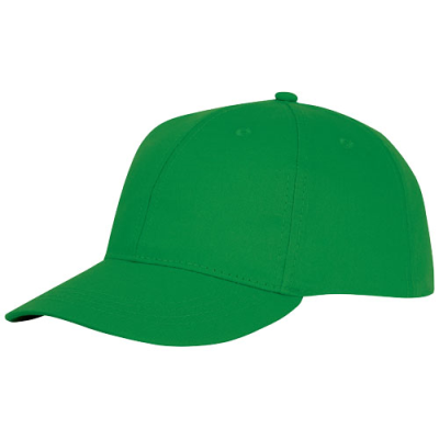 Picture of ARES 6 PANEL CAP in Fern Green