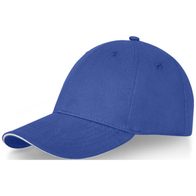 Picture of DARTON 6 PANEL SANDWICH CAP in Blue