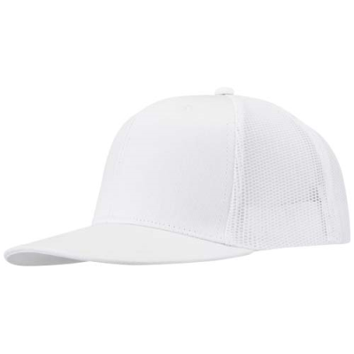 Picture of DRIFT SNAPBACK 260 G & M2 6 PANEL CAP