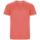 Picture of IMOLA SHORT SLEEVE CHILDRENS SPORTS TEE SHIRT