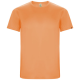 Picture of IMOLA SHORT SLEEVE CHILDRENS SPORTS TEE SHIRT