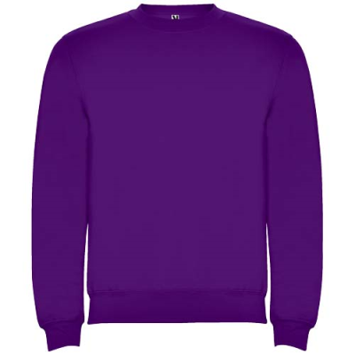 Picture of CLASICA CHILDRENS CREW NECK SWEATER in Purple.