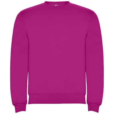 Picture of CLASICA CHILDRENS CREW NECK SWEATER in Rossette.