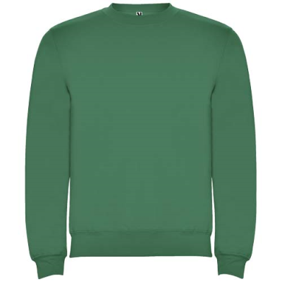 Picture of CLASICA CHILDRENS CREW NECK SWEATER in Kelly Green.