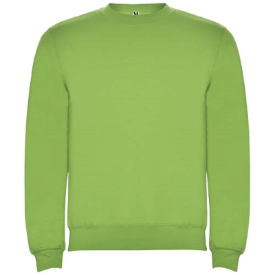 Picture of CLASICA CHILDRENS CREW NECK SWEATER in Oasis Green.