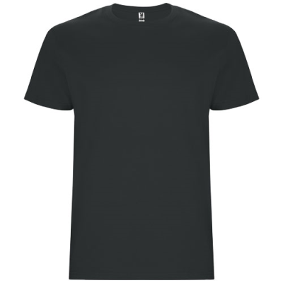 Picture of STAFFORD SHORT SLEEVE CHILDRENS TEE SHIRT in Dark Lead.