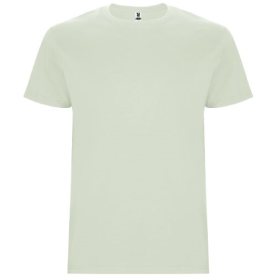 Picture of STAFFORD SHORT SLEEVE CHILDRENS TEE SHIRT in Mist Green.