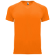 Picture of BAHRAIN SHORT SLEEVE MENS SPORTS TEE SHIRT