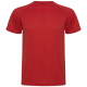 Picture of MONTECARLO SHORT SLEEVE MENS SPORTS TEE SHIRT