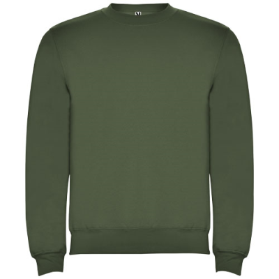 Picture of CLASICA UNISEX CREW NECK SWEATER in Venture Green.