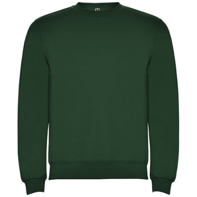 Picture of CLASICA UNISEX CREW NECK SWEATER in Dark Green