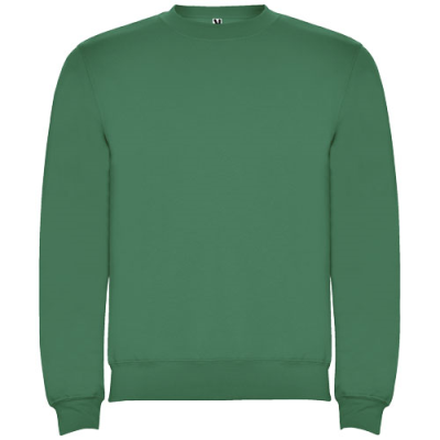 Picture of CLASICA UNISEX CREW NECK SWEATER in Kelly Green.