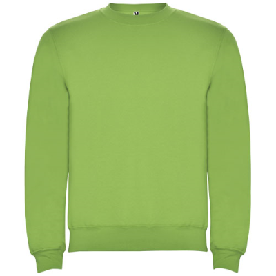 Picture of CLASICA UNISEX CREW NECK SWEATER in Oasis Green.
