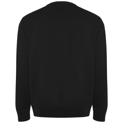 Picture of BATIAN UNISEX CREW NECK SWEATER in Solid Black