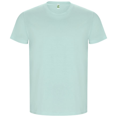 Picture of GOLDEN SHORT SLEEVE MENS TEE SHIRT in Mints.