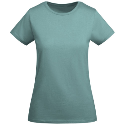 Picture of BREDA SHORT SLEEVE LADIES TEE SHIRT in Dusty Blue