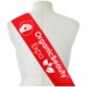 CUSTOM SASH image 2