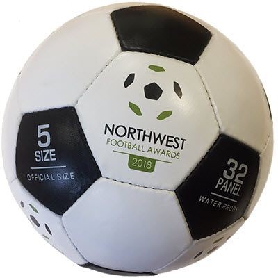 Picture of FULL SIZE 3 PLY TRAINER FOOTBALL.