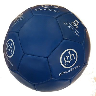 Picture of PROMOTIONAL FOOTBALL.