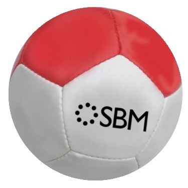 Picture of PROMOTIONAL FOOTBALL BALL.