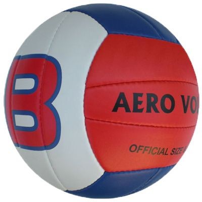 Picture of PROFESSIONAL VOLLEYBALL BALL.