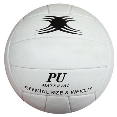 Picture of PROFESSIONAL VOLLEYBALL BALL