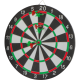 Picture of DARTBOARD with Arrows in Multicolored 
