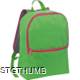Picture of BACKPACK RUCKSACK in Neon Fluorescent in Apple Green 