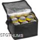 Picture of NON-WOVEN COOLING BAG - 6 CANS in Black