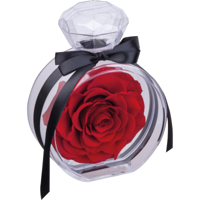 Picture of PRESERVED ROSE MARCELLA in Red