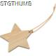 Picture of BAMBOO STAR PENDANT in Beige
