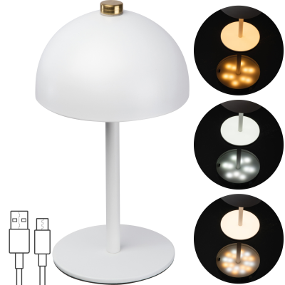 Picture of STAINLESS STEEL METAL TABLE LAMP in White .