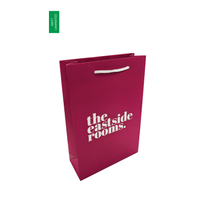 Picture of DRIVER LUXURY PAPER CARRIER BAG with Gloss Finish & Shoulder Rope Handles.