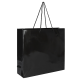 Picture of MAYFLOWER GLOSS LAMINATED PAPER CARRIER BAG with Rope Handles