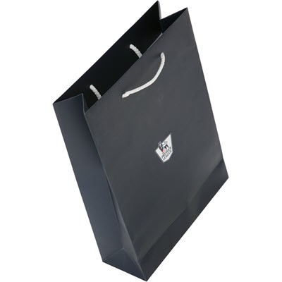 Picture of LAMINATED PAPER BAG with Rope Handles.