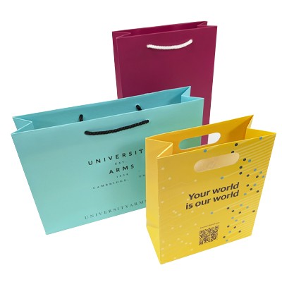 ALVIN GLOSS or MATT LAMINATED PAPER CARRIER BAG with Rope Handles