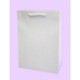 Picture of JUPITER A4 SIZE WHITE KRAFT RECYCLABLE PAPER CARRIER BAG
