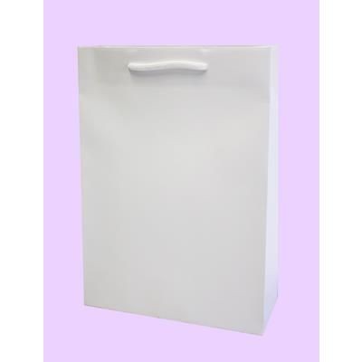 Picture of JUPITER A4 SIZE WHITE KRAFT RECYCLABLE PAPER CARRIER BAG.