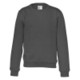 Picture of SWEATSHIRT with Round Neck & Brushed Lining